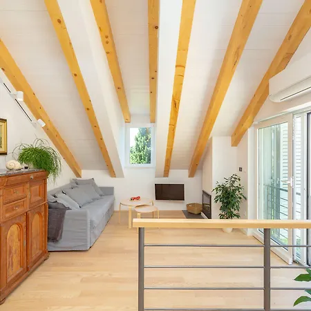 Hedera Estate, Hedera A54 Ragusa