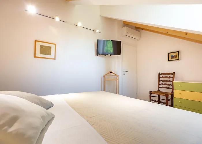 Hedera Estate, Hedera A54 Ragusa