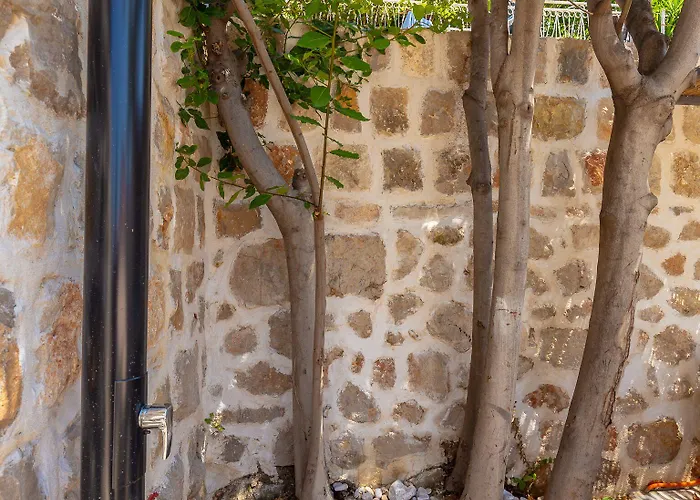 Appartamento Hedera Estate, Hedera A54